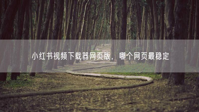 小红书视频下载器网页版，哪个网页最稳定