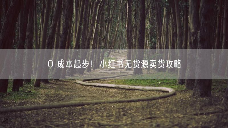 0 成本起步！小红书无货源卖货攻略