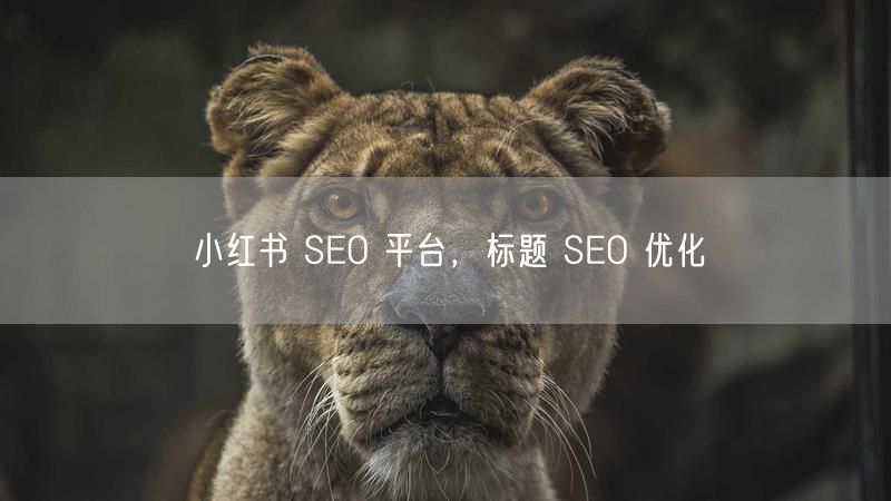 小红书 SEO 平台，标题 SEO 优化
