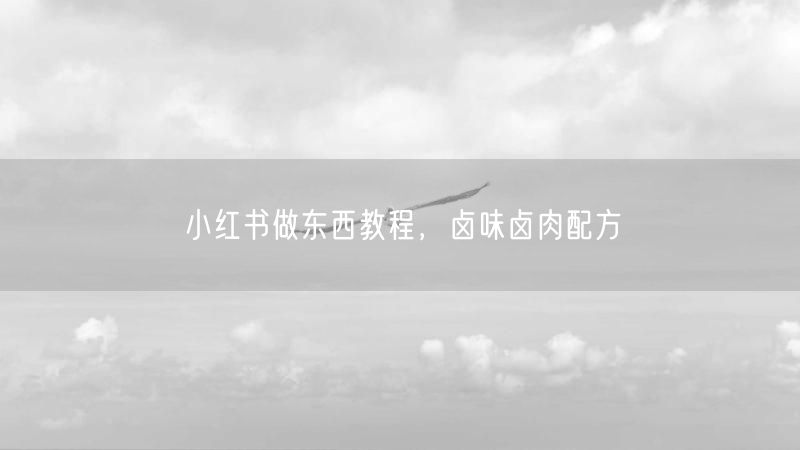 小红书做东西教程，卤味卤肉配方