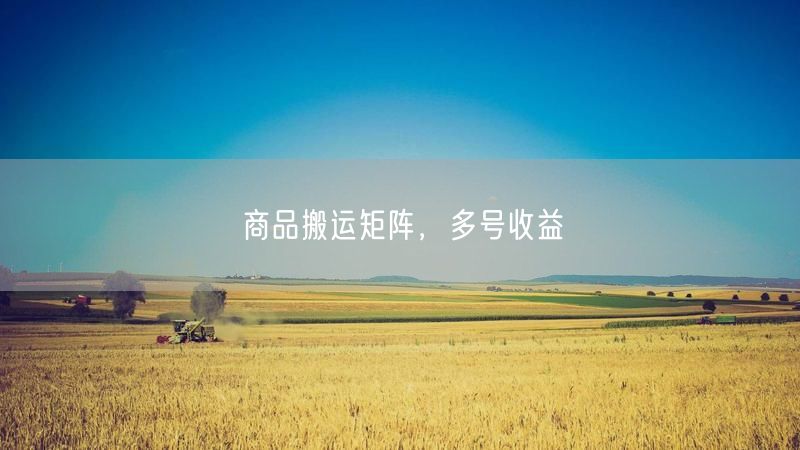 商品搬运矩阵，多号收益