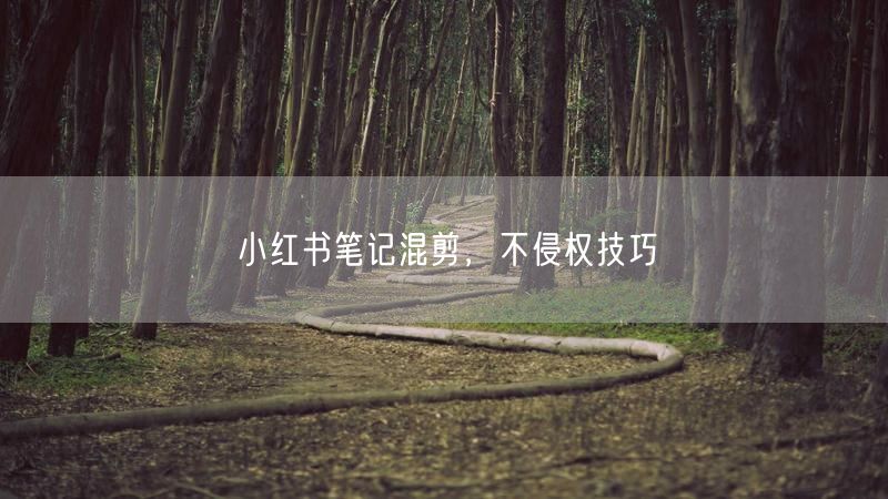 小红书笔记混剪，不侵权技巧