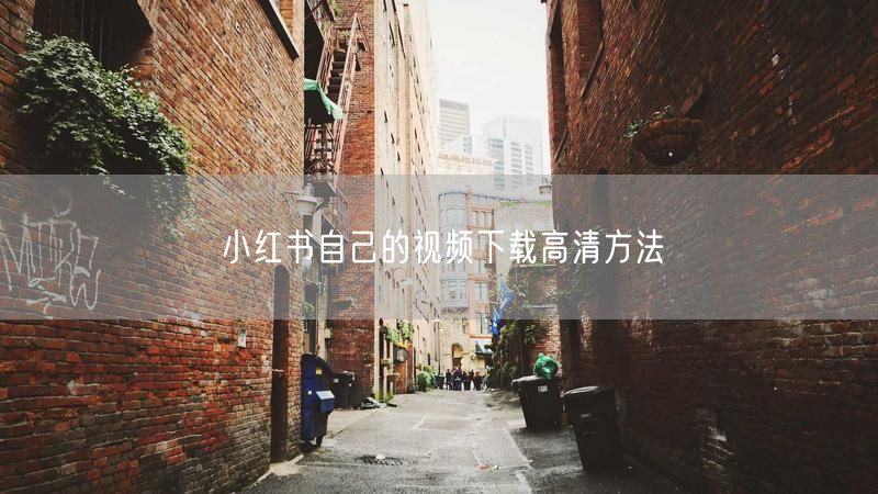 小红书自己的视频下载高清方法