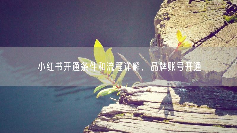 小红书开通条件和流程详解，品牌账号开通