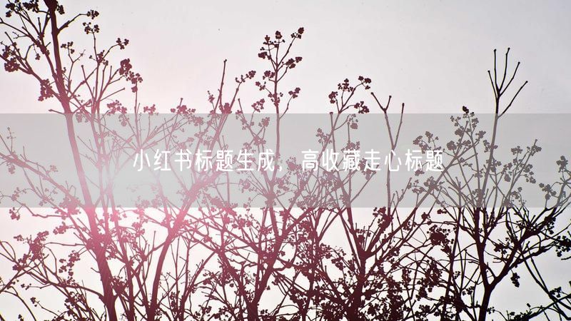 小红书标题生成，高收藏走心标题
