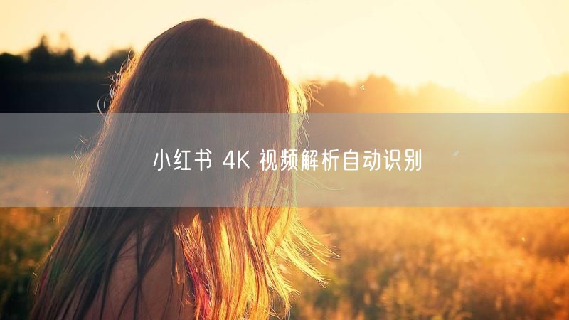 小红书 4K 视频解析自动识别