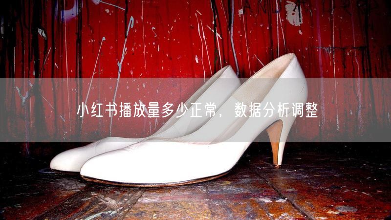 小红书播放量多少正常，数据分析调整