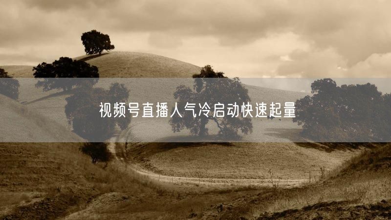 视频号直播人气冷启动快速起量