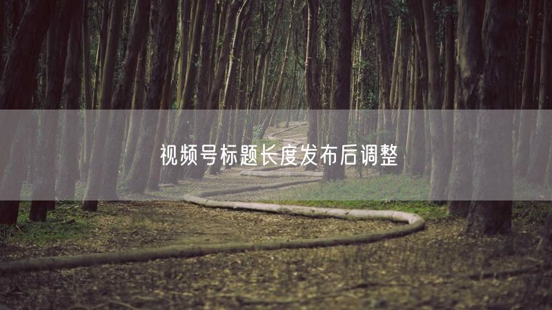 视频号标题长度发布后调整