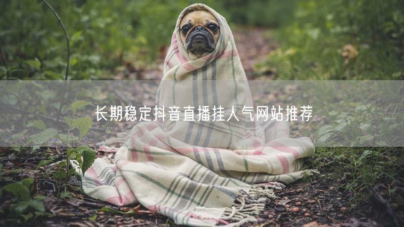 长期稳定抖音直播挂人气网站推荐