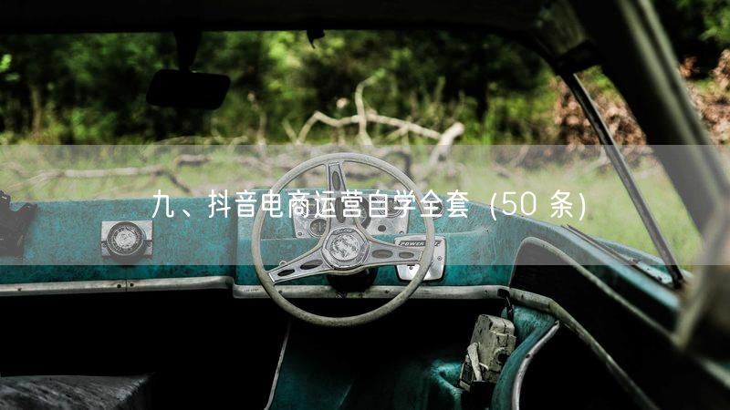九、抖音电商运营自学全套（50 条）