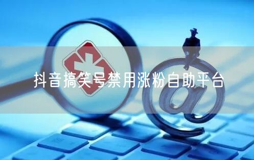 抖音搞笑号禁用涨粉自助平台