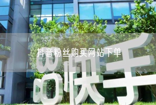 抖音粉丝购买网站下单